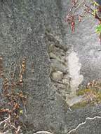 coolross 1675.jpg